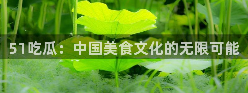 yourport吃瓜网