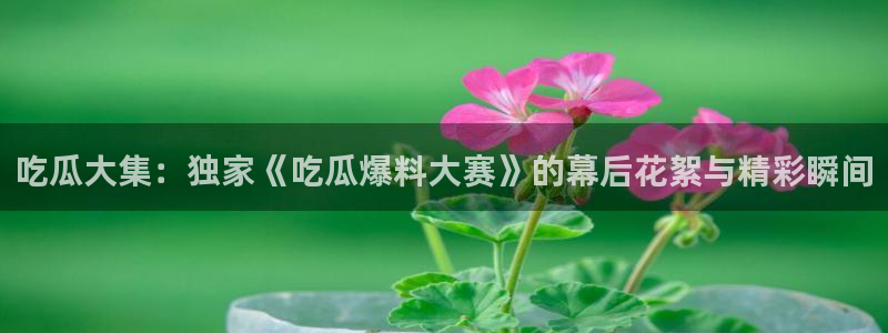 吃瓜后嗓子痒怎么回事：吃瓜大集：独家《吃瓜爆料大赛》的幕后花絮与精彩瞬间