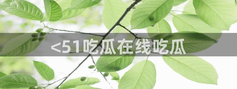51吃瓜今日吃瓜官网最新：<51吃瓜在线吃瓜