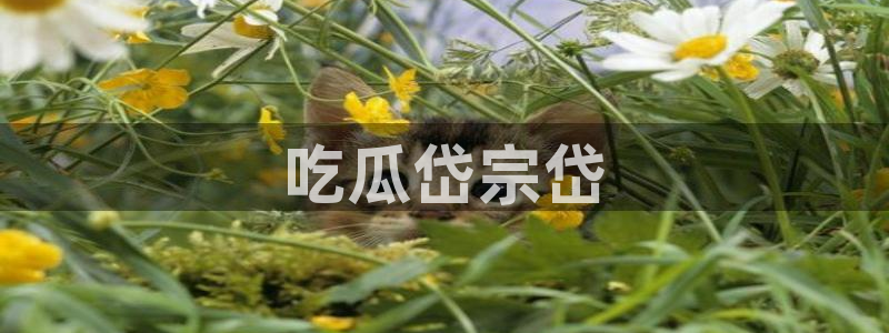 51cgfun吃瓜网怎么进