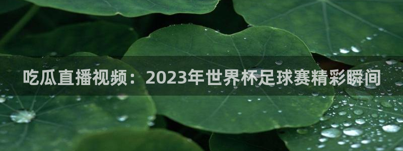 51吃瓜全网最快更新今日热门吃瓜
