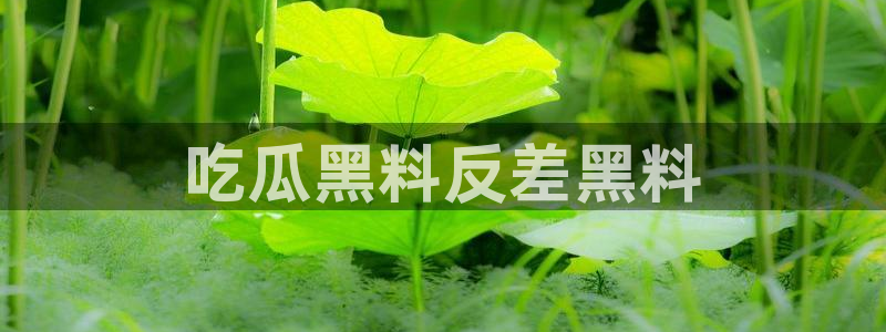 ccggme吃瓜网