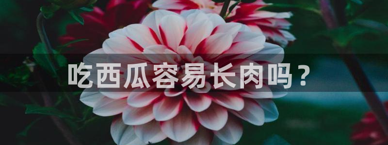 51吃瓜网今日榜单