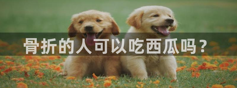51全网更新最快最全的吃瓜网