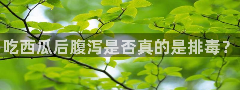 吃瓜小说：吃西瓜后腹泻是否真的是排毒？