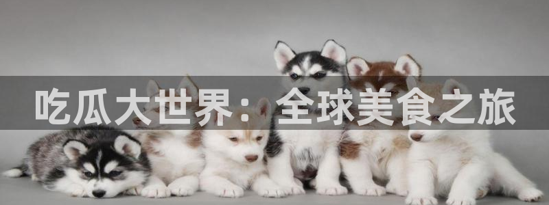 吃瓜吃到自己的死讯：吃瓜大世界：全球美食之旅